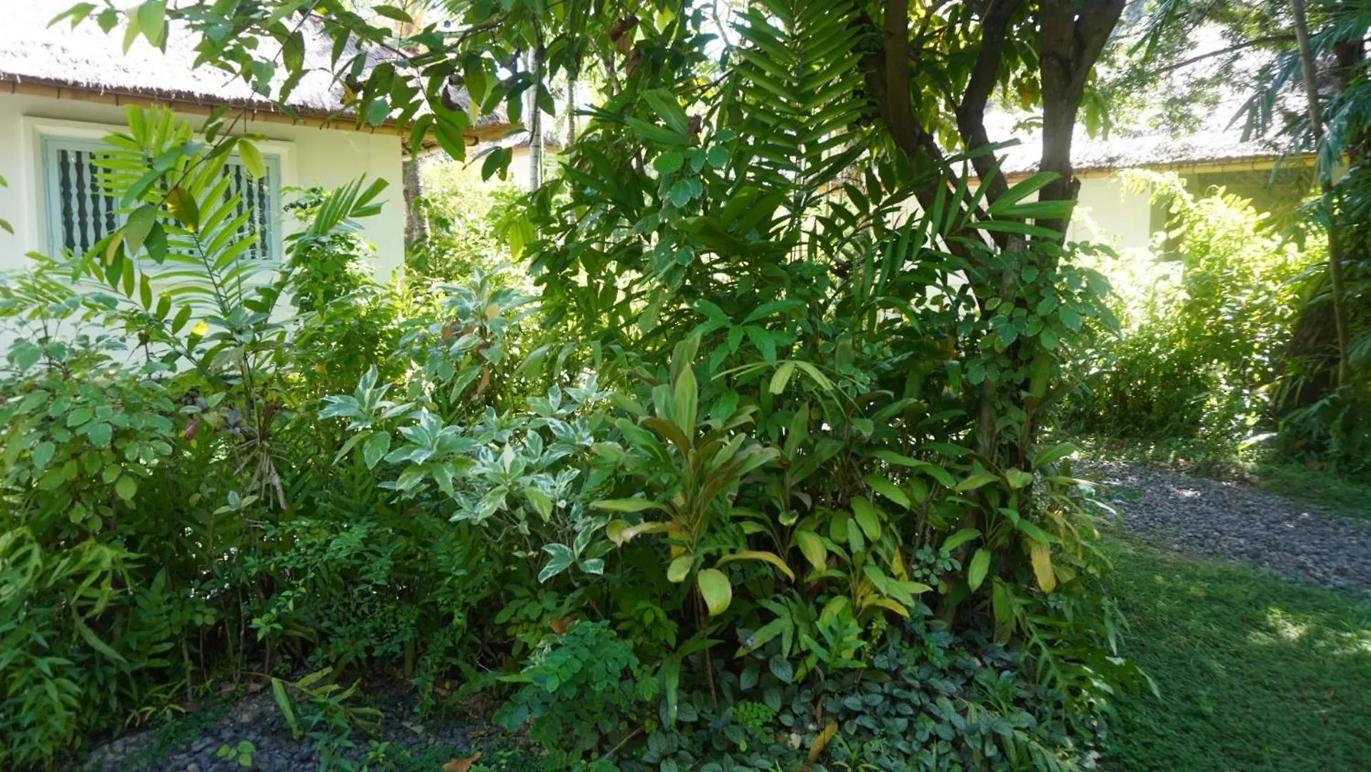 Lodge Poppies Cottages On Two Legian